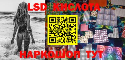 прущие грибы Коммунар