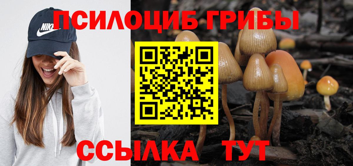 Галлюциногенные грибы прущие грибы  закладка  Киров  Псилоцибиновые грибы MAGIC MUSHROOMS  Вход с VPN 