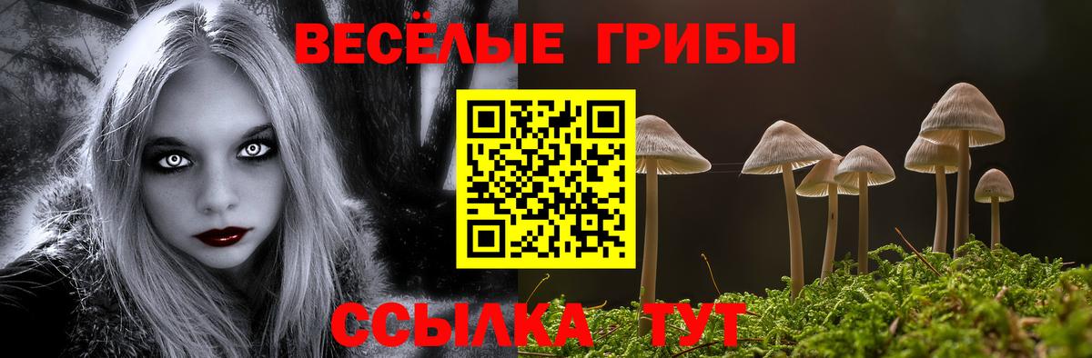 Псилоцибиновые грибы Psilocybe Киров
